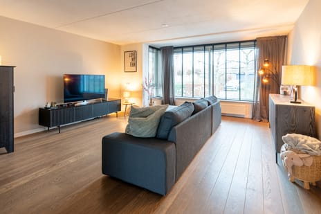 Bonte Specht 44 tertiary image