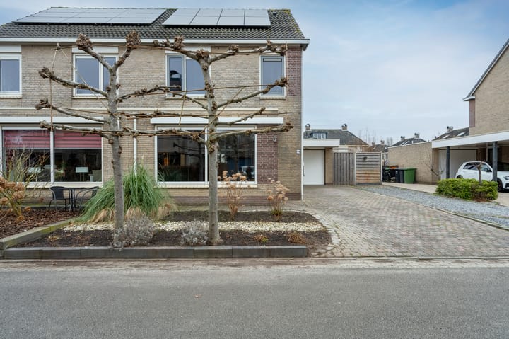 Foto 39 van Bonte Specht 44