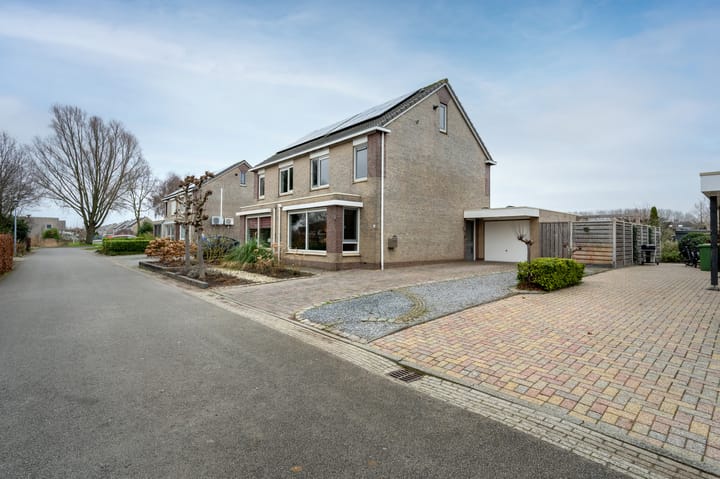 Foto 40 van Bonte Specht 44