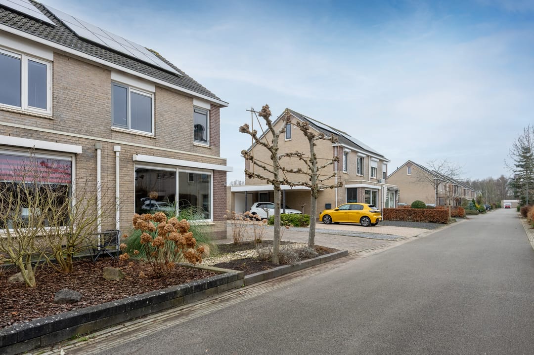 Foto 41 van Bonte Specht 44