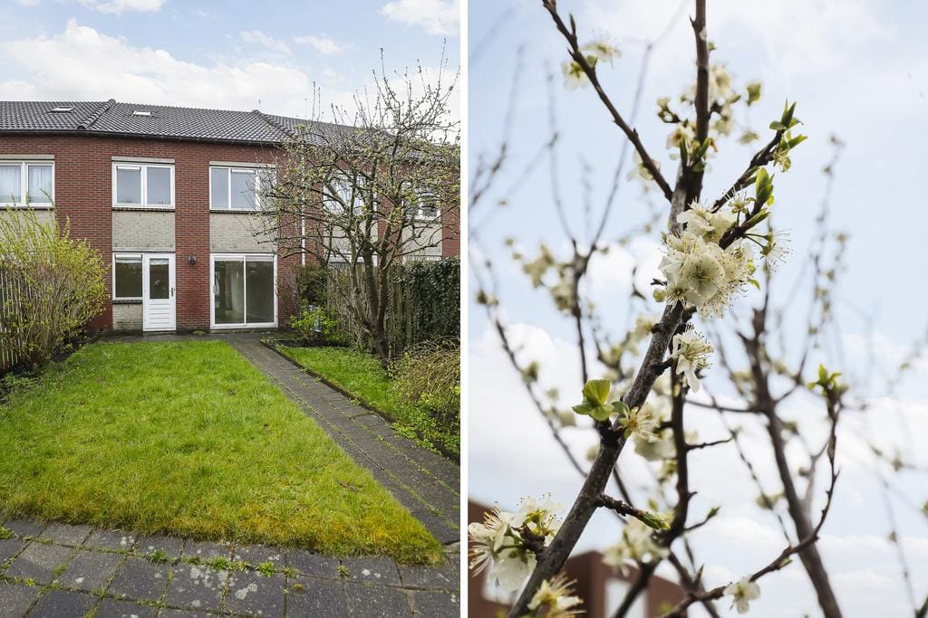 Foto 6 van Etty Hillesumplantsoen 33