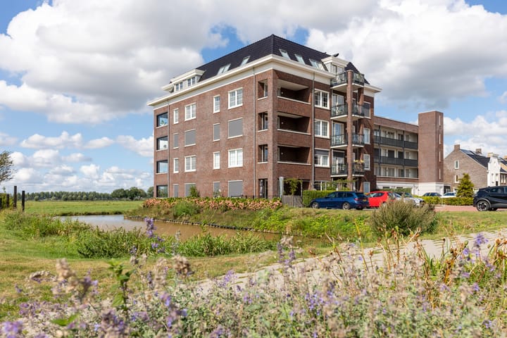 Hazenleger 9 main image