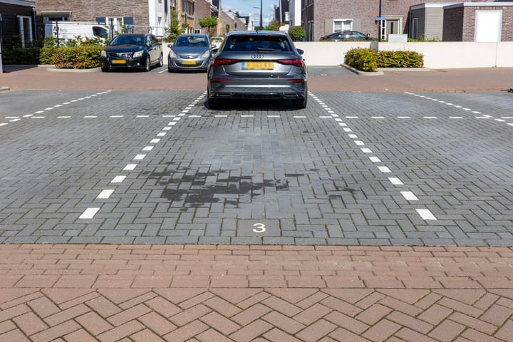 Foto 51 van Hazenleger 9