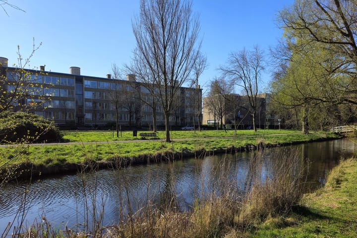 Photo 3 of Segbroeklaan 592