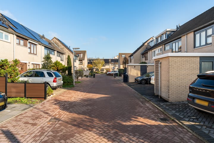 Foto 50 van Anzere 9