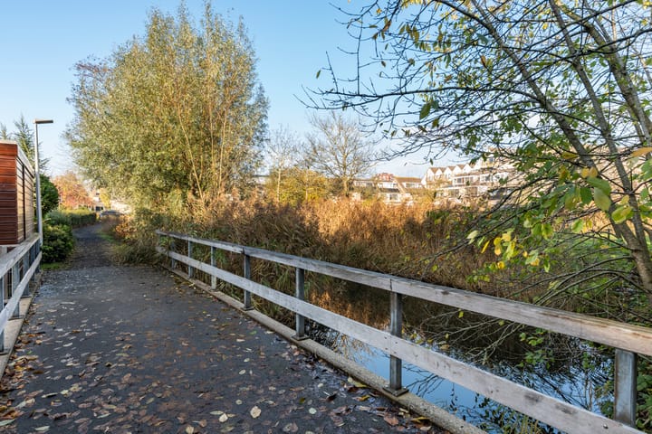 Foto 52 van Anzere 9