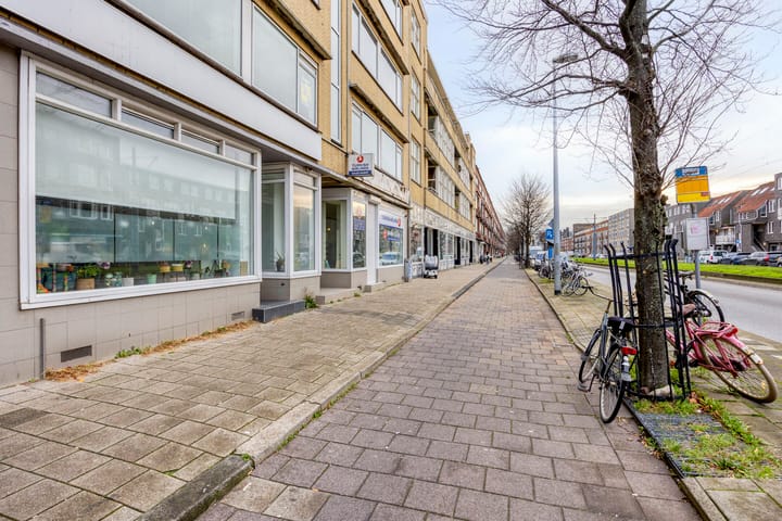 Foto 29 van Rotterdamsedijk 252-D