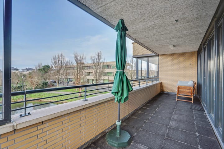 Foto 10 van Slangekruid 89