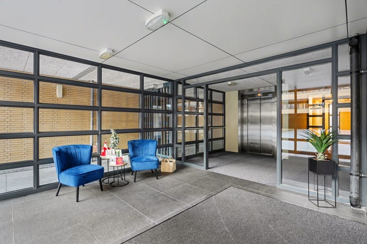 Foto 19 van Slangekruid 89