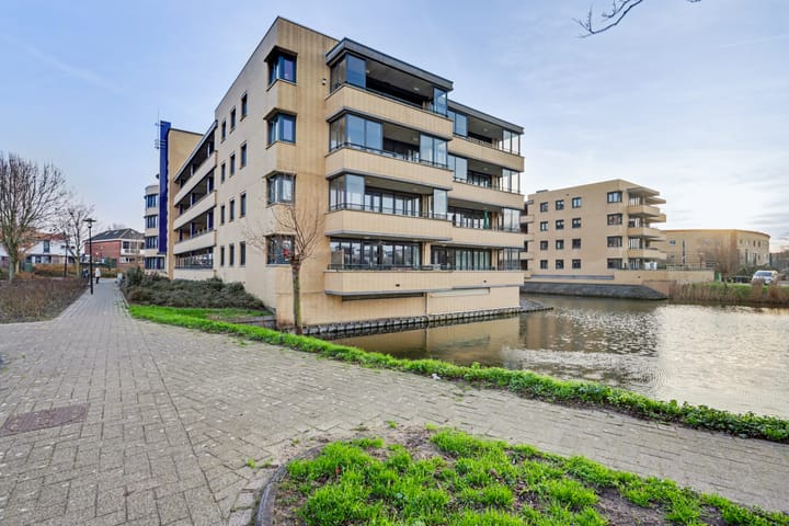 Foto 22 van Slangekruid 89