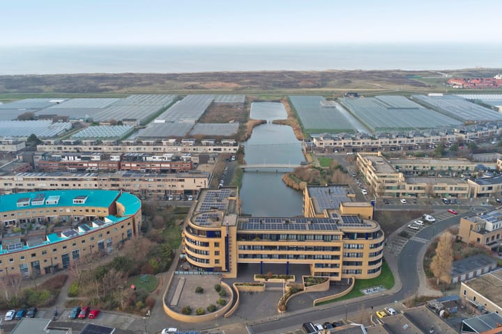 Foto 23 van Slangekruid 89