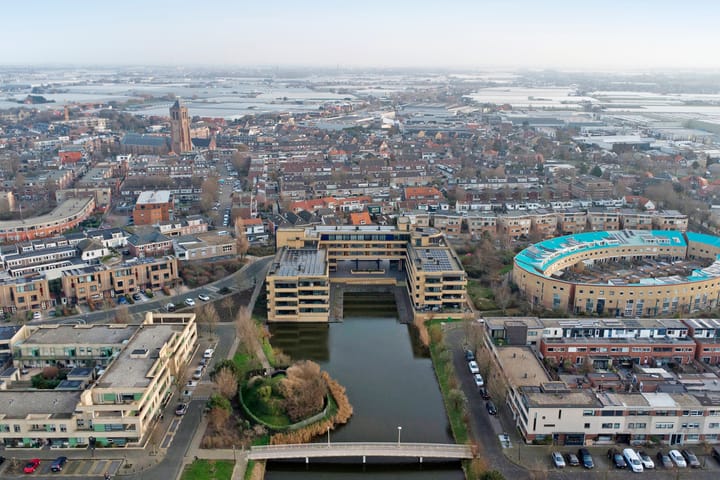 Foto 25 van Slangekruid 89