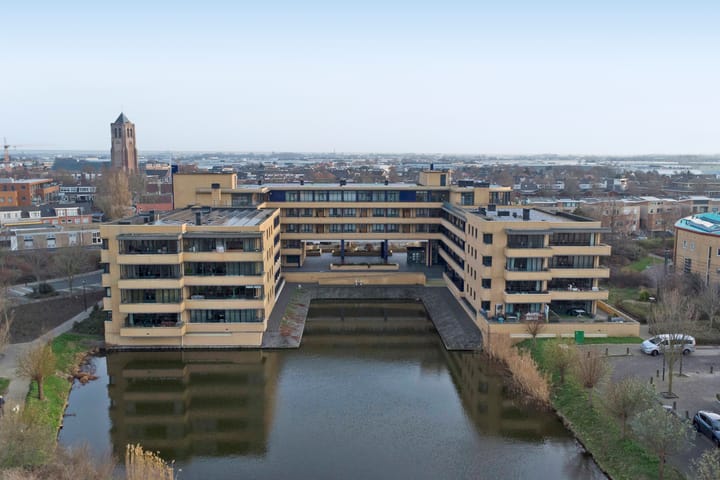 Foto 26 van Slangekruid 89