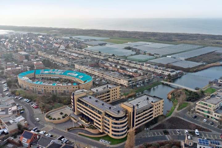 Foto 24 van Slangekruid 89