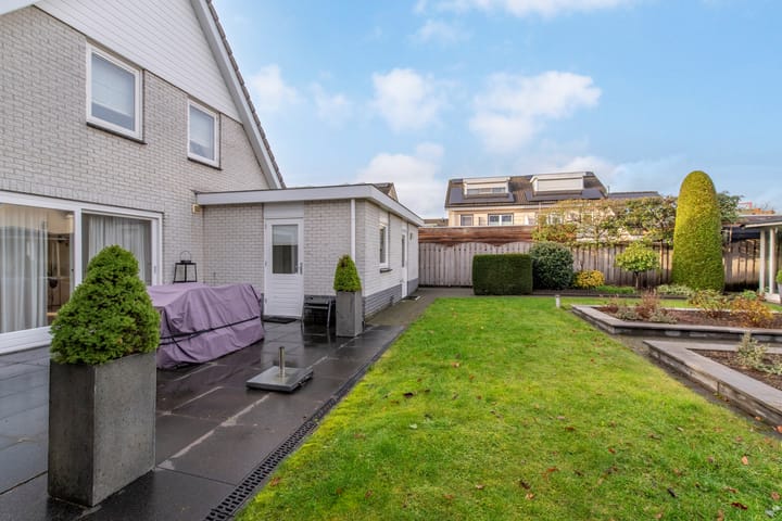 Foto 50 van Dalkruid 1