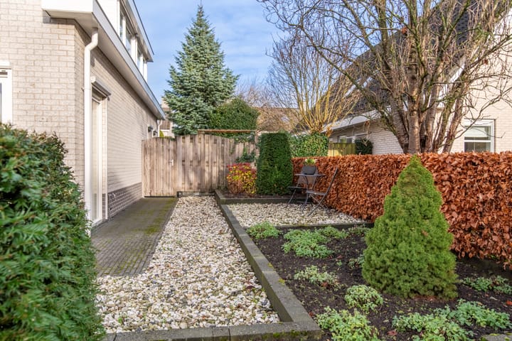 Foto 53 van Dalkruid 1