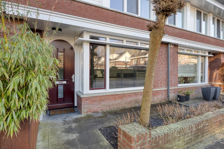 Foto 4 van Parelmoervlinder 87