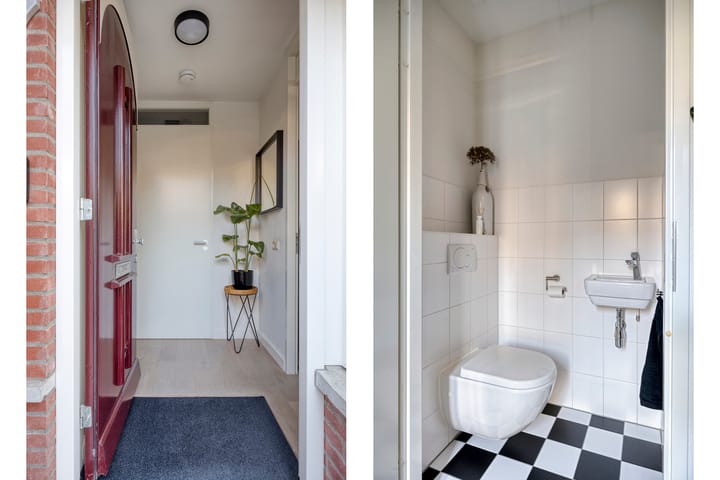 Foto 5 van Parelmoervlinder 87