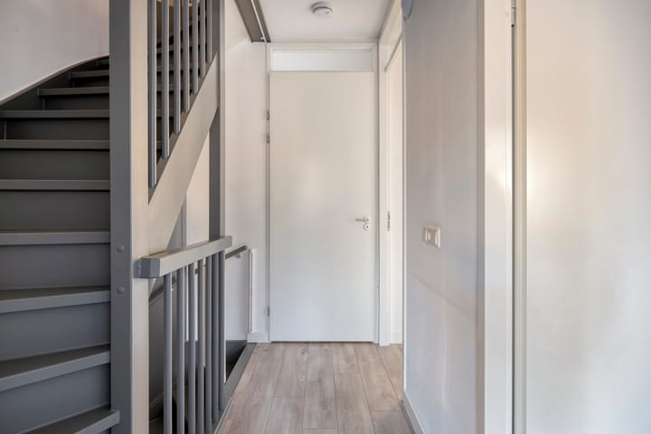 Foto 15 van Parelmoervlinder 87