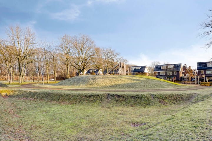 Foto 31 van Parelmoervlinder 87