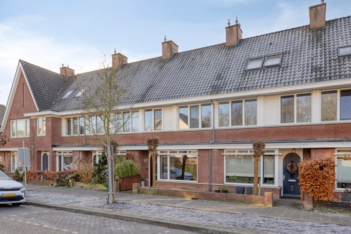 Foto 32 van Parelmoervlinder 87