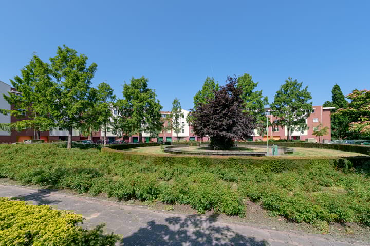 Foto 7 van de Kortveter 74