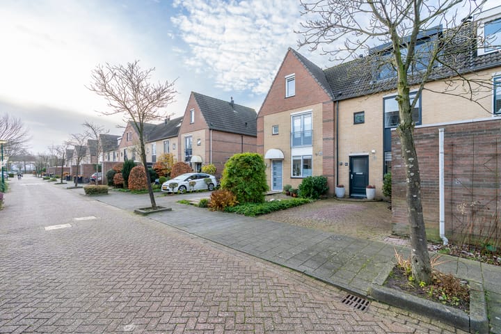 Photo 42 of Narcis 35