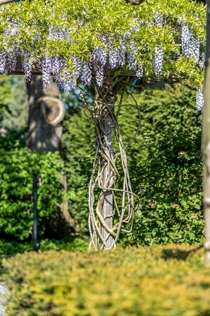 Foto 58 van Amsterdamseweg 46