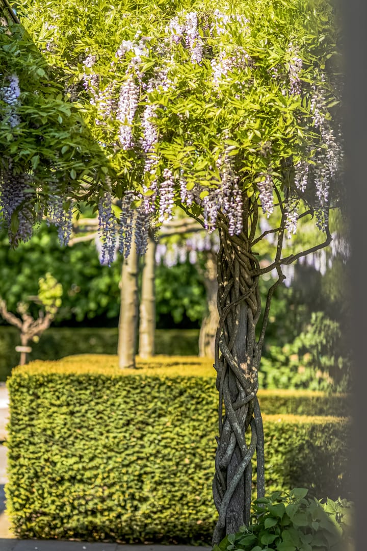 Foto 59 van Amsterdamseweg 46