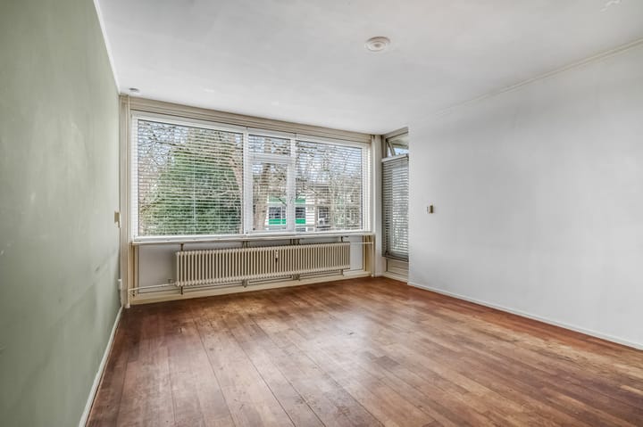 Photo 3 of De Zoom 35