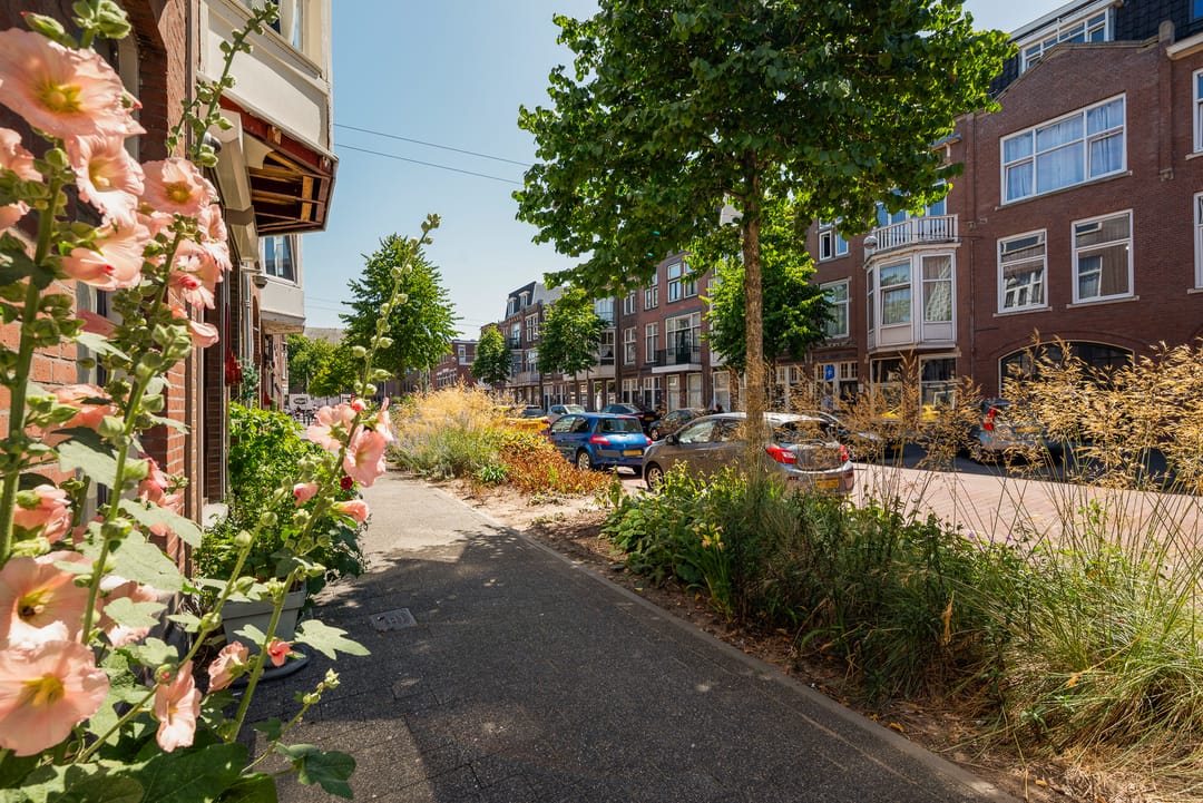 Photo 37 of Pletterijstraat 95