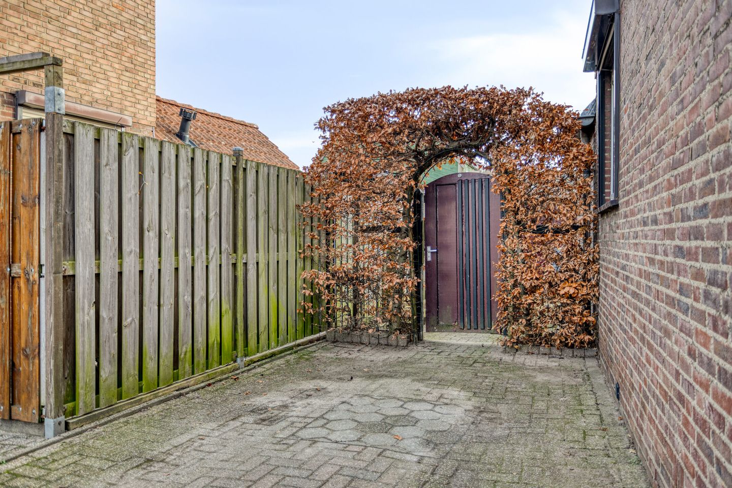 Foto 29 van Dr. Ariënsstraat 11