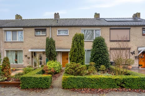 undefined main image