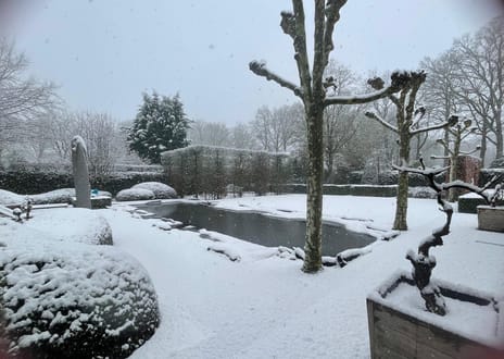 Wilhelminalaan 1 secondary image