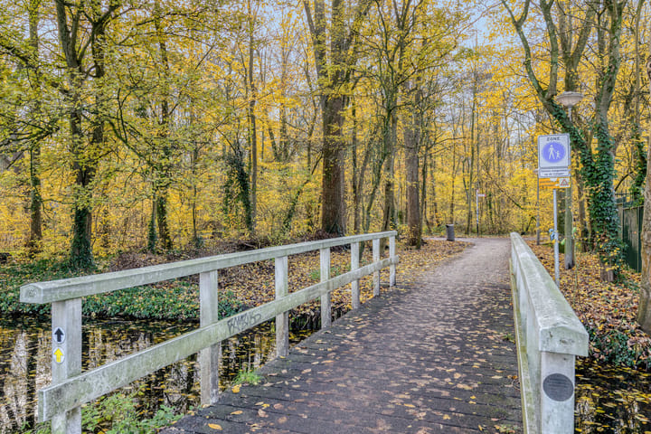 Foto 33 van Nieuwendammerdijk 167