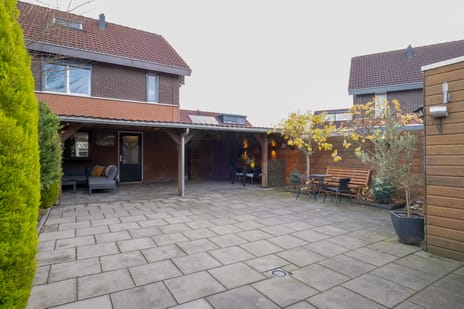 Porseleinvlinder 5 tertiary image