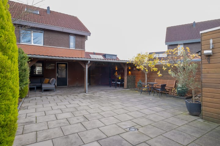 Foto 3 van Porseleinvlinder 5