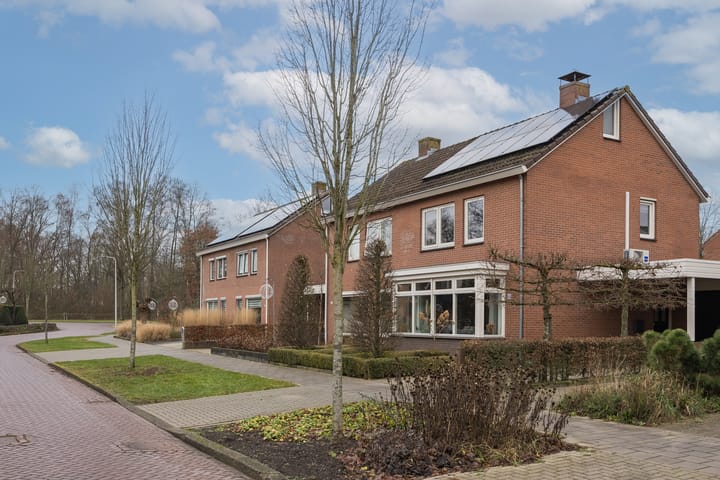 Foto 31 van van Bodelswingstraat 44