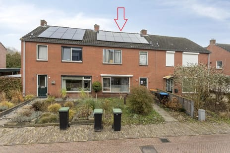 undefined main image