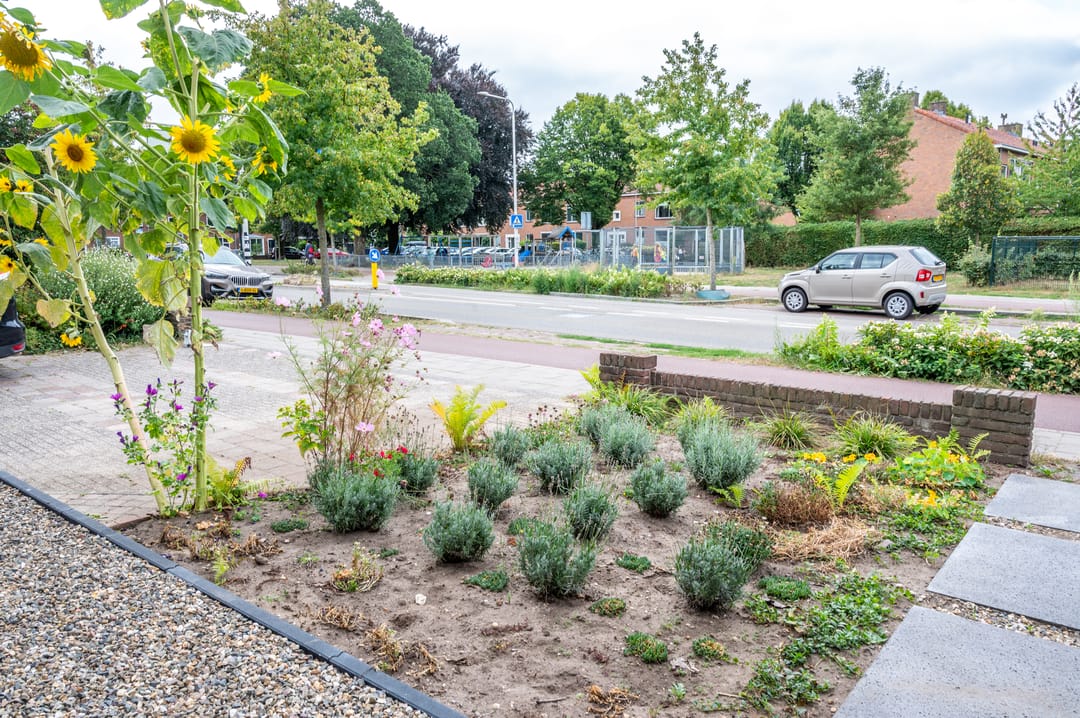 Foto 71 van Slotemaker de Bruïneweg 36