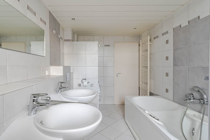 Foto 17 van Hoefblad 13