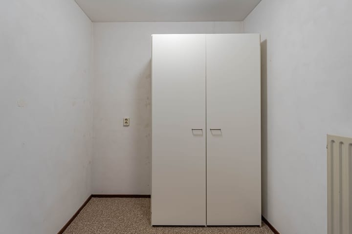 Foto 21 van Hoefblad 13