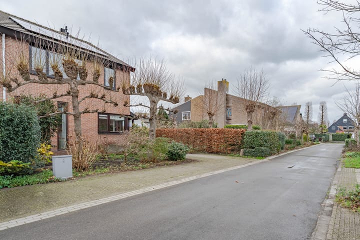 Foto 31 van Hoefblad 13