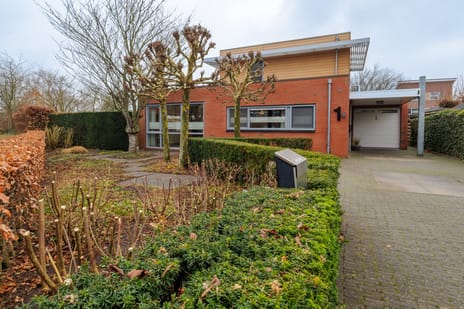 undefined main image