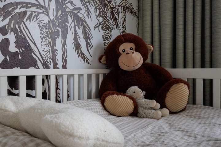 Foto 64 van Kofschip 1