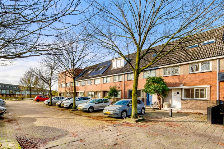 Foto 6 van Tureluur 13