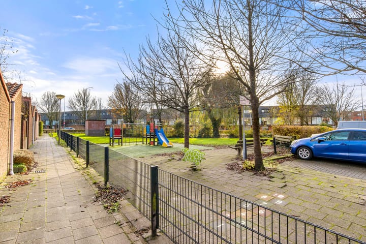 Foto 8 van Tureluur 13