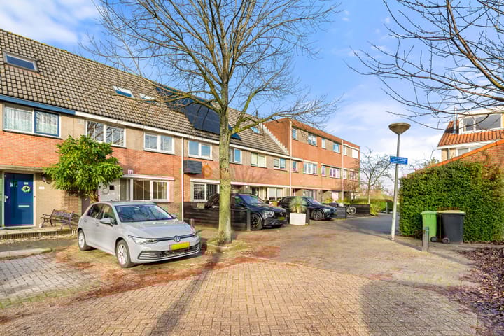 Foto 7 van Tureluur 13