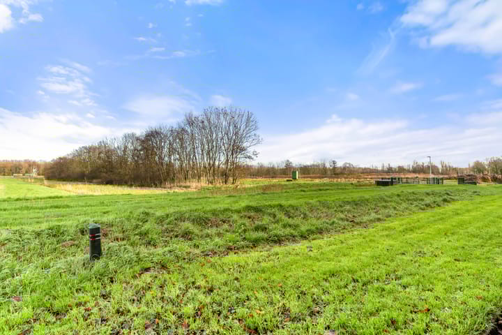 Foto 9 van Tureluur 13