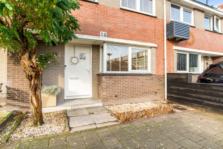 Foto 10 van Tureluur 13